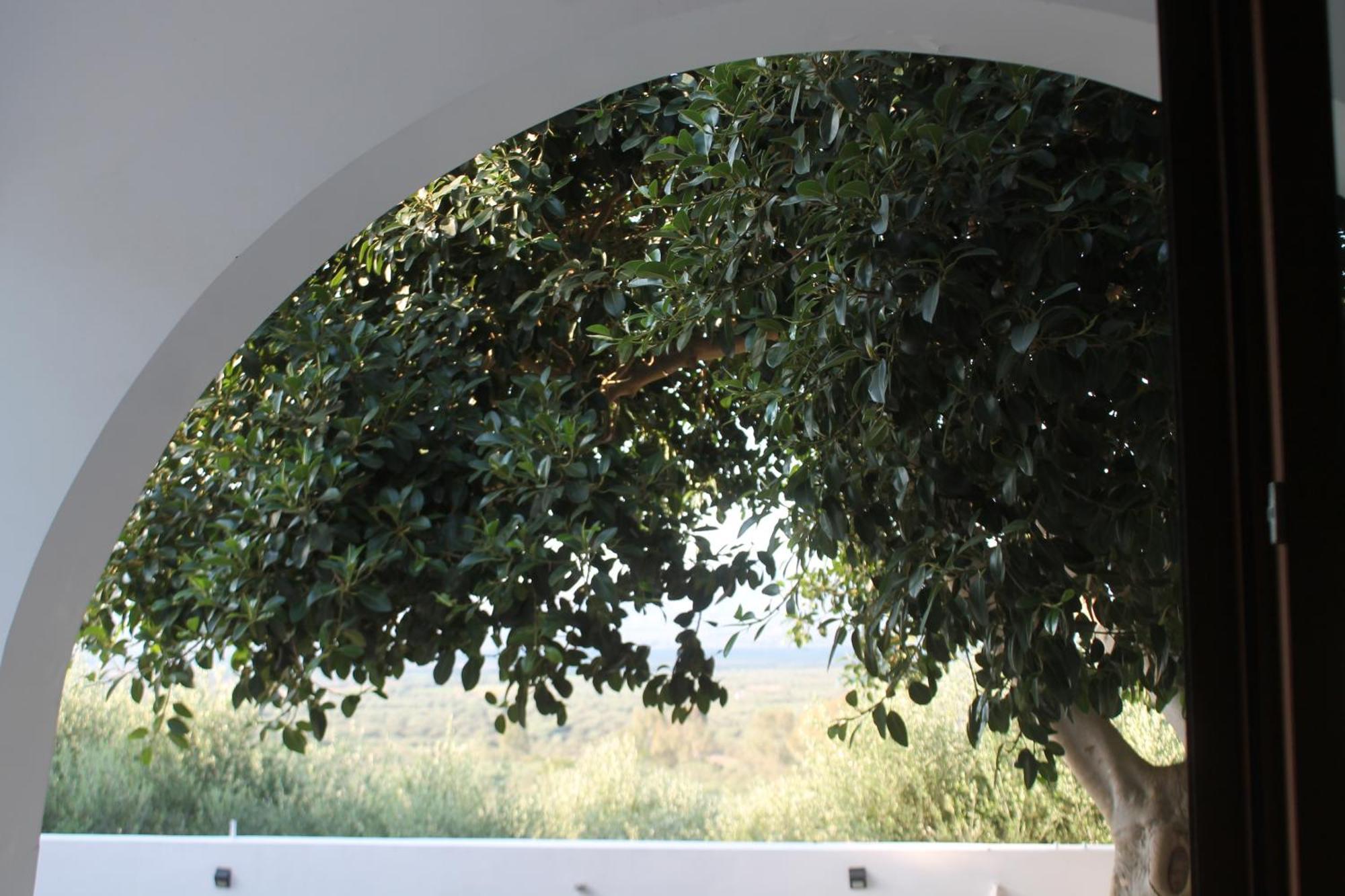 A Crystal Clear House In Pyrgos, Heraklion Crete Pirgos  Esterno foto