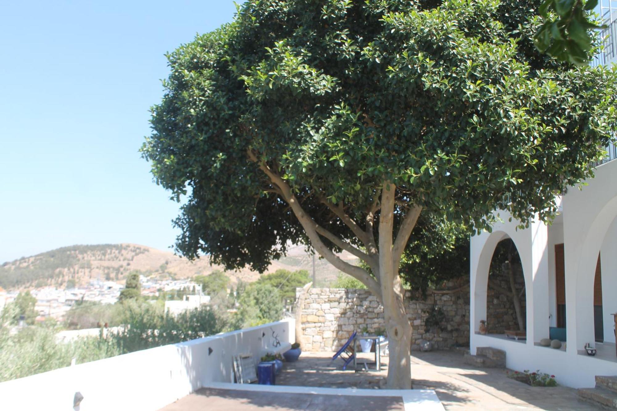 A Crystal Clear House In Pyrgos, Heraklion Crete Pirgos  Esterno foto